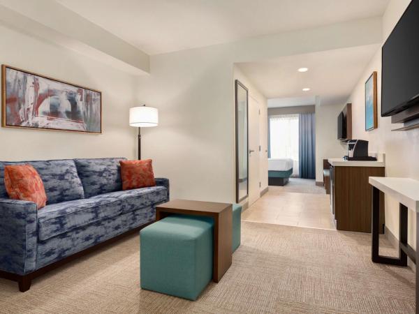 Hilton Garden Inn Houston Energy Corridor : photo 1 de la chambre suite 1 chambre lit king-size