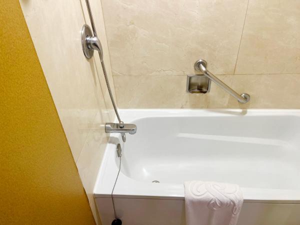 Sejong Hotel Seoul Myeongdong : photo 1 de la chambre chambre quadruple