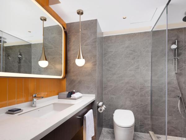 Home2 Suites by Hilton Chengdu Kuanzhai Alley : photo 4 de la chambre spirit deluxe king room