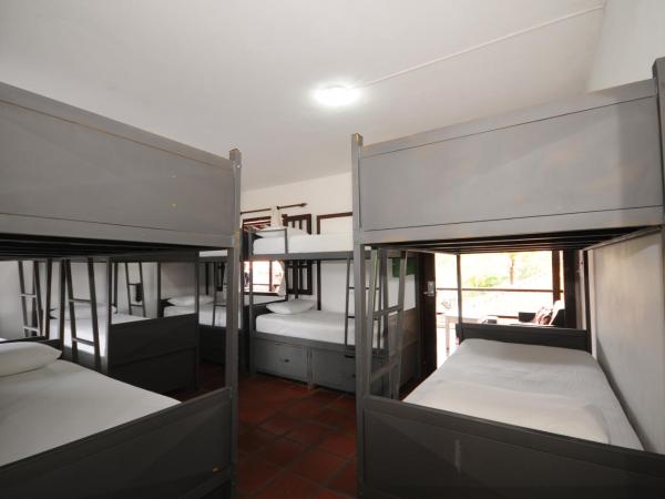 Che Lagarto Hostel Búzios : photo 1 de la chambre lit superposé dans dortoir mixte