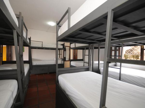 Che Lagarto Hostel Búzios : photo 2 de la chambre lit superposé dans dortoir mixte