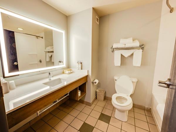 Holiday Inn Express Hotel & Suites Ohio State University- OSU Medical Center, an IHG Hotel : photo 4 de la chambre chambre standard