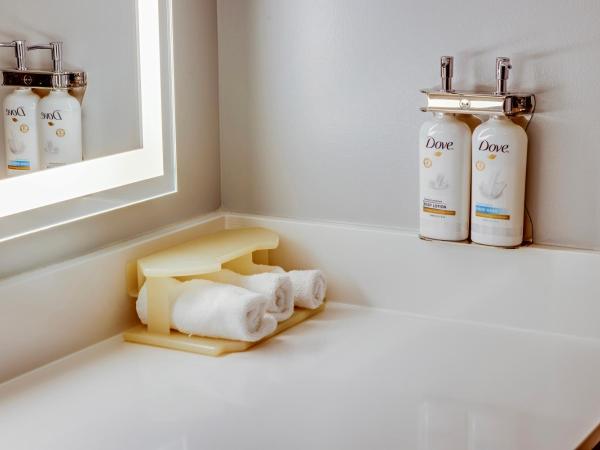 Holiday Inn Express Hotel & Suites Ohio State University- OSU Medical Center, an IHG Hotel : photo 9 de la chambre chambre standard