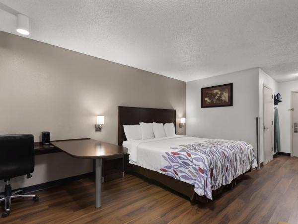 Red Roof Inn & Suites Savannah Airport : photo 3 de la chambre chambre lit king-size supérieure - non-fumeurs