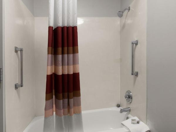 Red Roof Inn & Suites Savannah Airport : photo 6 de la chambre chambre supérieure lit king-size - fumeurs
