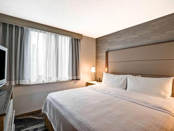 Homewood Suites by Hilton Chicago Downtown : photo 1 de la chambre suite 1 chambre lit king-size - non-fumeurs