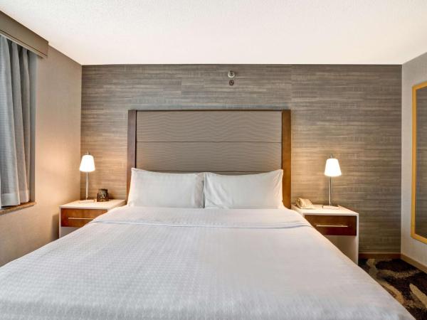 Homewood Suites by Hilton Chicago Downtown : photo 3 de la chambre suite studio lit king-size avec canapé-lit