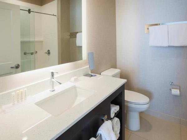 Residence Inn by Marriott Louisville East/Oxmoor : photo 3 de la chambre studio lit king-size avec canapé-lit