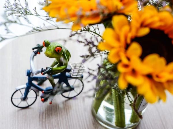 Heye International Youth Hostel : photo 7 de la chambre chambre lits jumeaux urbaine