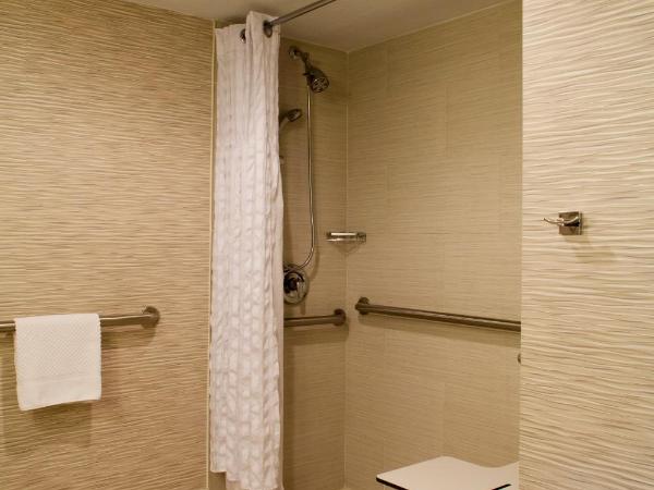 DoubleTree by Hilton Hotel Jacksonville Airport : photo 4 de la chambre chambre lit king-size avec douche accessible en fauteuil roulant - adaptée aux personnes à mobilité réduite