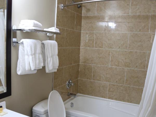 Royal Lodge : photo 3 de la chambre chambre lit queen-size