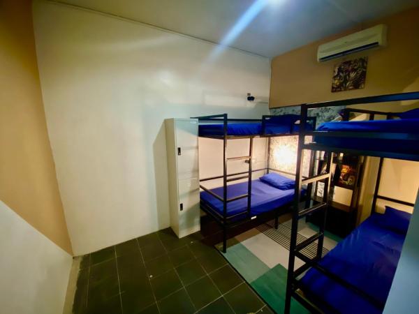 Wakaka Hostel : photo 2 de la chambre lit dans dortoir pour femmes de 4 lits
