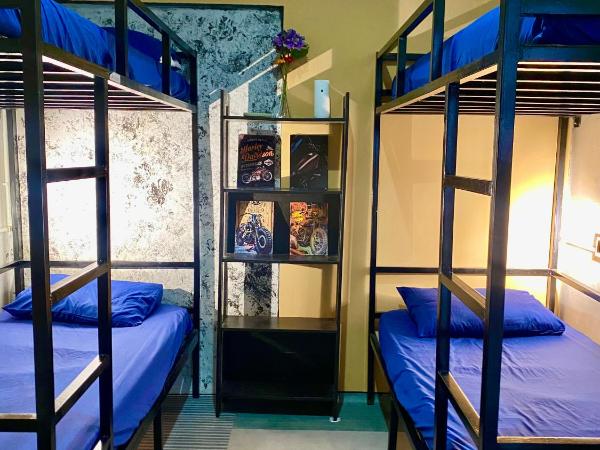 Wakaka Hostel : photo 5 de la chambre lit dans dortoir pour femmes de 4 lits