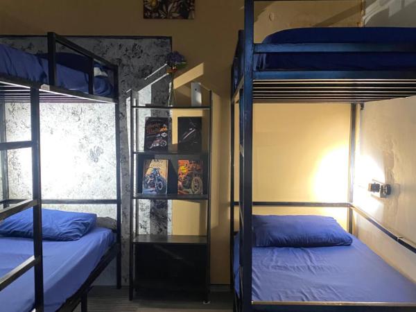 Wakaka Hostel : photo 4 de la chambre lit dans dortoir pour femmes de 4 lits