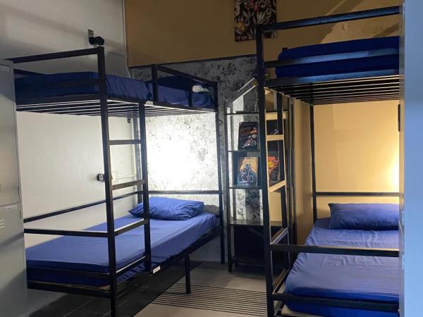 Wakaka Hostel : photo 3 de la chambre lit dans dortoir pour femmes de 4 lits