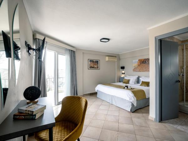 Akti Hotel Ioannina : photo 1 de la chambre chambre standard - vue latérale sur lac