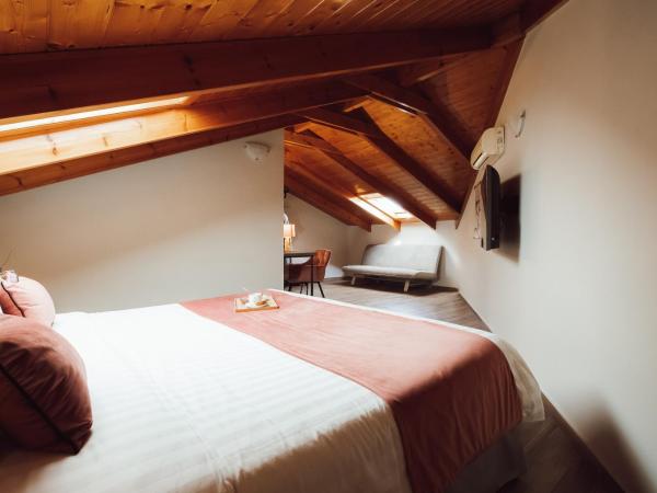 Akti Hotel Ioannina : photo 3 de la chambre hébergement exécutif mansardé