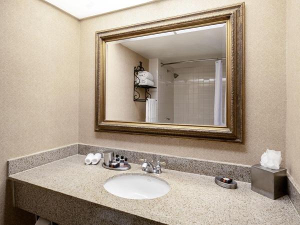 Austin Southpark Hotel : photo 1 de la chambre chambre deluxe avec 2 lits doubles