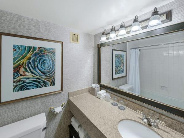 The Westin San Antonio North : photo 2 de la chambre chambre deluxe avec 2 lits queen-size