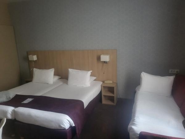 Hôtel Europe and Spa : photo 1 de la chambre hébergement 2 lits simples et 1 lit junior (jusqu'à 10 ans)