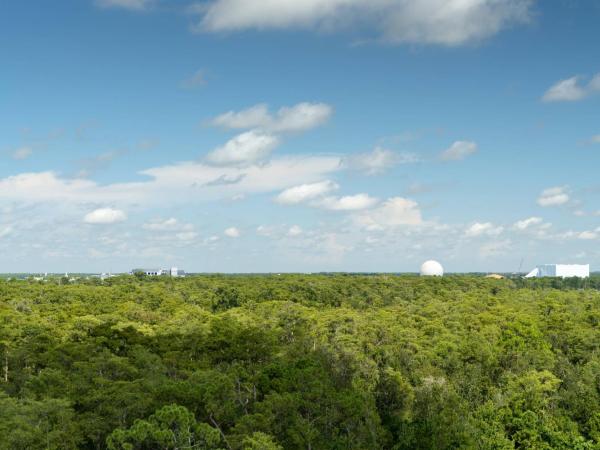 JW Marriott Orlando Bonnet Creek Resort & Spa : photo 2 de la chambre suite 1 lit king-size exécutive avec canapé-lit - vue sur feu d'artifice