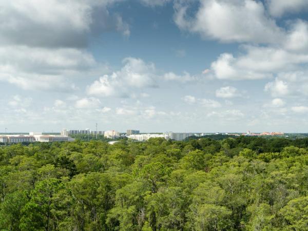 JW Marriott Orlando Bonnet Creek Resort & Spa : photo 1 de la chambre chambre d’angle 1 lit king-size avec canapé-lit - vue sur ville