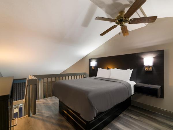 Quality Inn & Suites Altamonte Springs Orlando-North : photo 6 de la chambre chambre lit king-size - fumeurs 
