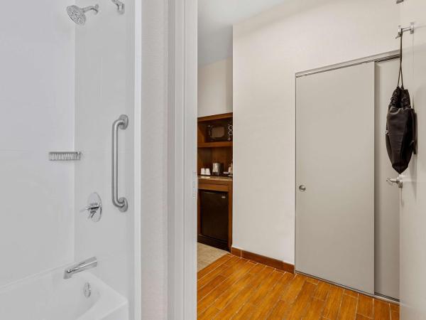 Hilton Garden Inn New Orleans French Quarter/CBD : photo 3 de la chambre chambre lit king-size avec baignoire accessible aux personnes à mobilité réduite - adaptée aux personnes à mobilité réduite