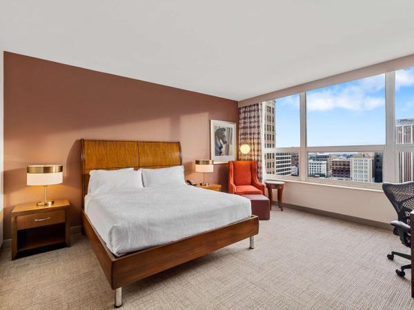 Hilton Garden Inn New Orleans French Quarter/CBD : photo 1 de la chambre chambre lit king-size