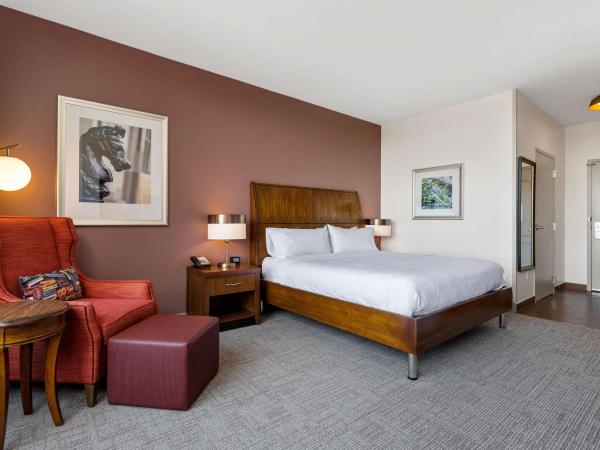 Hilton Garden Inn New Orleans French Quarter/CBD : photo 8 de la chambre chambre lit king-size