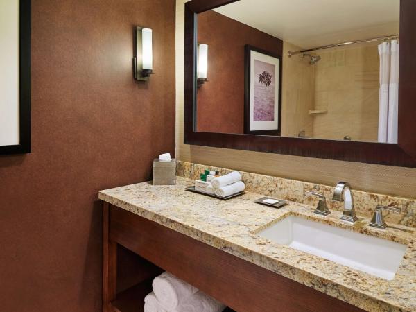 DoubleTree by Hilton San Antonio Airport : photo 3 de la chambre chambre double avec 2 lits doubles - non-fumeurs