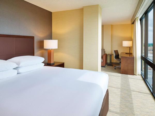 DoubleTree by Hilton San Antonio Airport : photo 2 de la chambre suite junior lit king-size avec canapé-lit