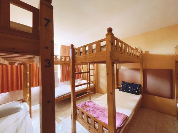 FnB Hotel Central Pattaya : photo 1 de la chambre lit superposé dans dortoir pour femmes 