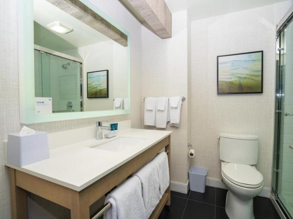 Four Points Marriott Salt Lake City Airport : photo 1 de la chambre chambre lit king-size