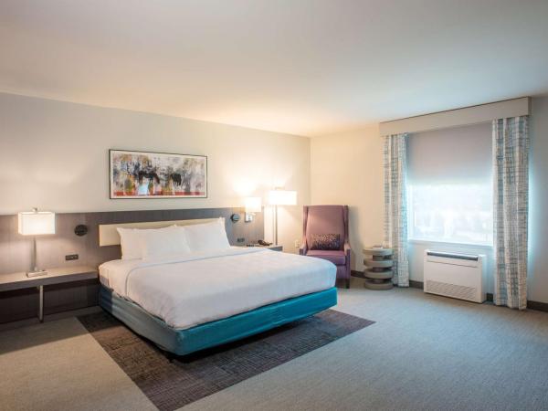 Hilton Garden Inn Memphis East/Germantown, Tn : photo 2 de la chambre chambre lit king-size avec douche accessible en fauteuil roulant - adaptée aux personnes à mobilité réduite