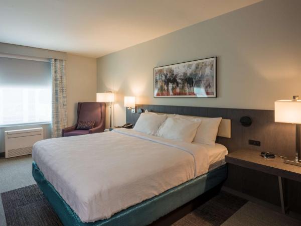 Hilton Garden Inn Memphis East/Germantown, Tn : photo 3 de la chambre chambre lit king-size