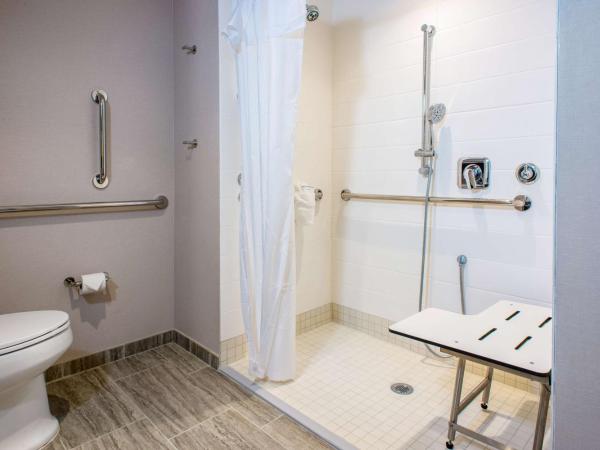 Hilton Garden Inn Memphis East/Germantown, Tn : photo 5 de la chambre chambre lit king-size avec douche accessible en fauteuil roulant - adaptée aux personnes à mobilité réduite