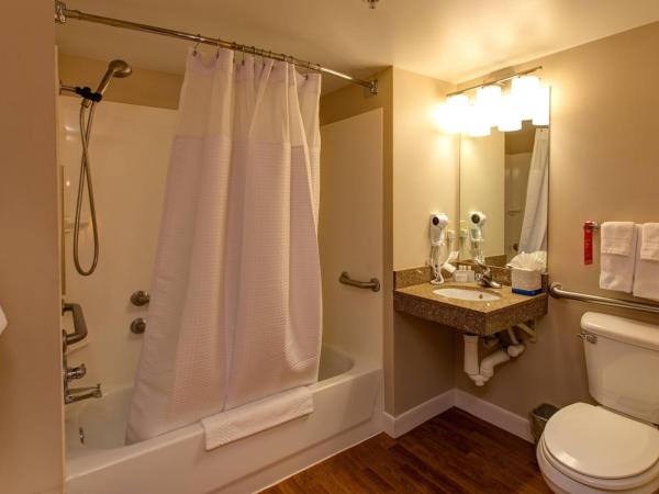 TownePlace Suites Colorado Springs : photo 2 de la chambre suite 1 chambre avec lit queen-size et canapé-lit