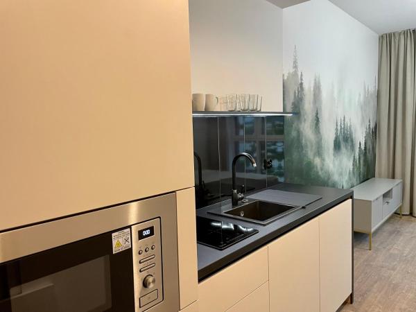 Plac Wolności 6 z klimatyzacją : photo 2 de la chambre appartement