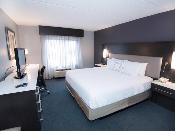 Fairfield Inn & Suites Atlanta Airport North : photo 1 de la chambre chambre lit queen-size