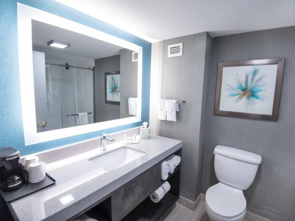 Fairfield Inn & Suites Atlanta Airport North : photo 2 de la chambre chambre lit king-size