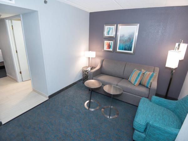 Fairfield Inn & Suites Atlanta Airport North : photo 3 de la chambre studio double