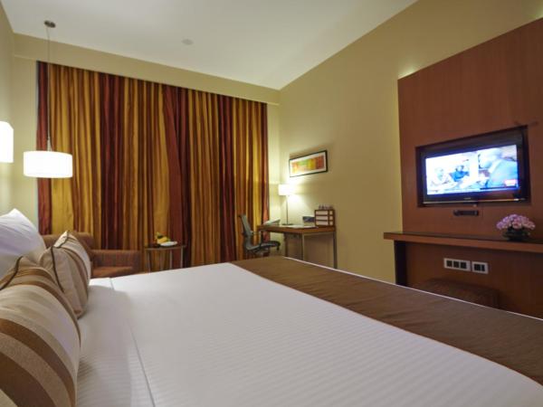Turyaa Chennai - OMR IT Expressway : photo 5 de la chambre chambre deluxe