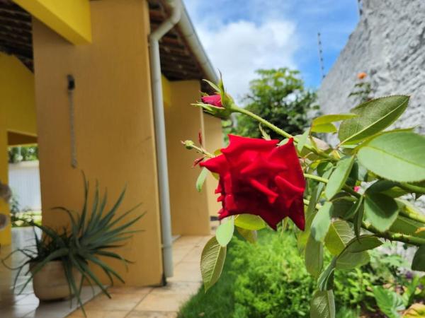 Hostel Atairú : photo 1 de la chambre dortoir mixte de 6 lits