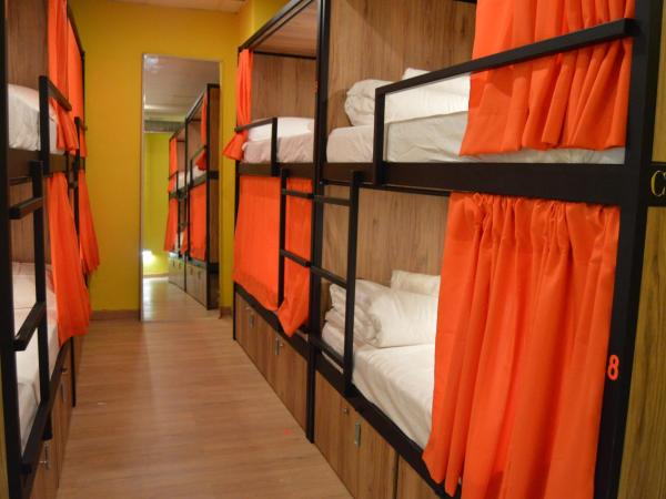 Debod Hostel : photo 1 de la chambre lit superposé dans dortoir pour femmes