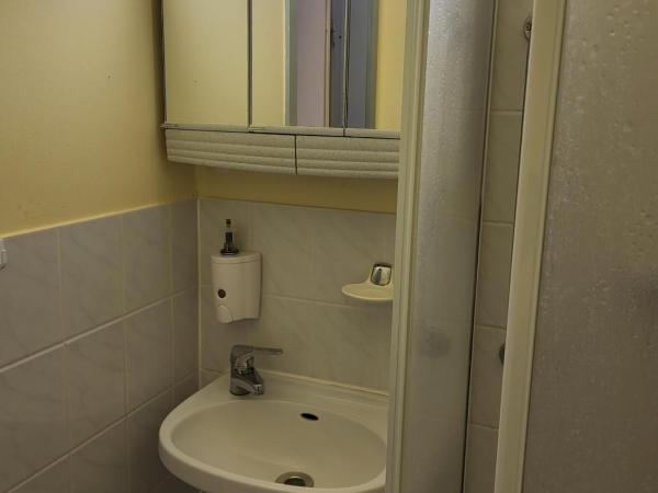 Pension Hubertus : photo 4 de la chambre chambre simple avec salle de bains 