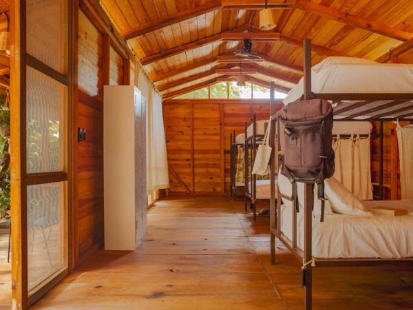 Casona H : photo 1 de la chambre lit dans dortoir mixte de 8 lits 