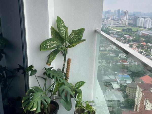 Welcome Home @Reizz Residence : photo 8 de la chambre appartement 2 chambres