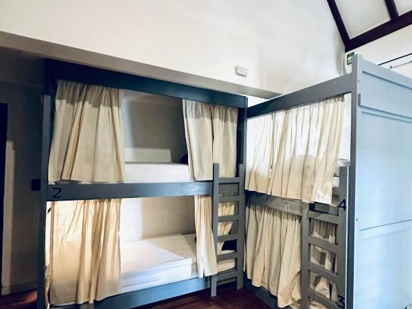 Gorilla Hostel : photo 8 de la chambre dortoir mixte de 8 lits 
