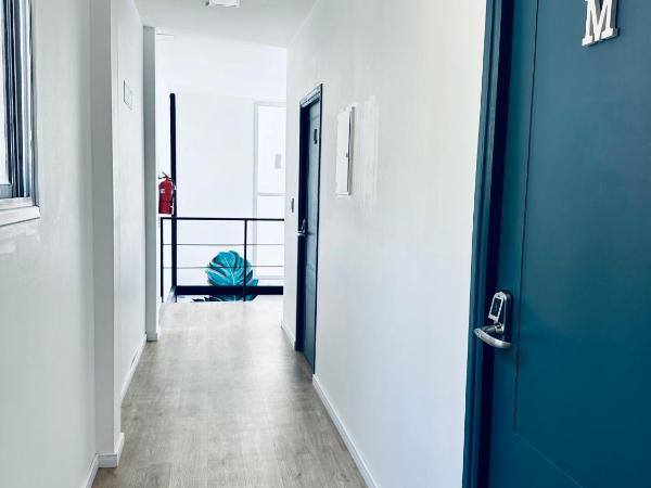 Gorilla Hostel : photo 8 de la chambre lit dans dortoir mixte de 8 lits 